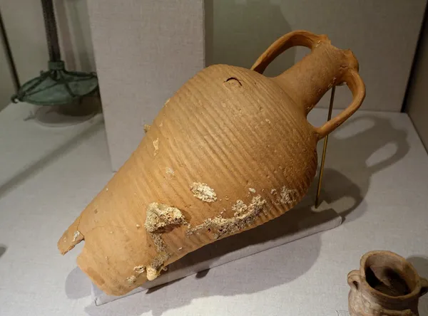Roman shipwreck with 500 amphorae discovered off coast of Sicily