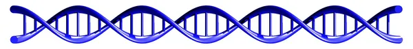 Researchers directly visualise two DNA helices zipping together